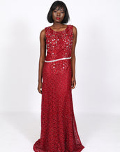 Opening night Velvet Dress