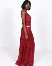 Opening night Velvet Dress