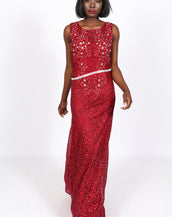 Opening night Velvet Dress