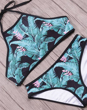 Push Up Ladies Bikini Set